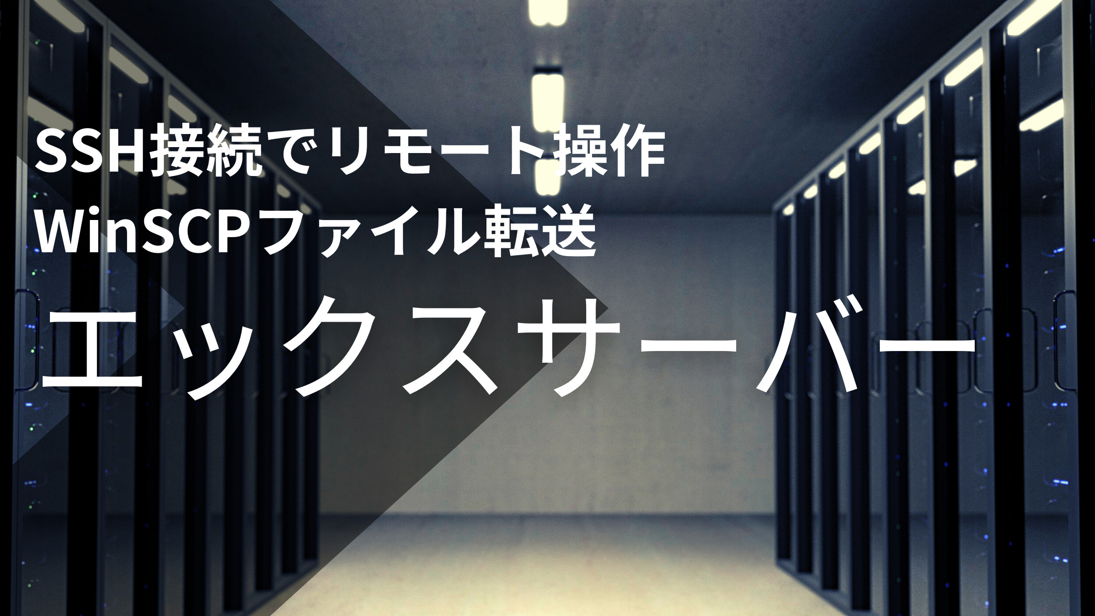【エックスサーバー】SSH接続・WinSCPファイル転送