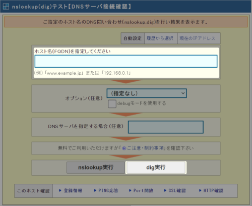 dig実行